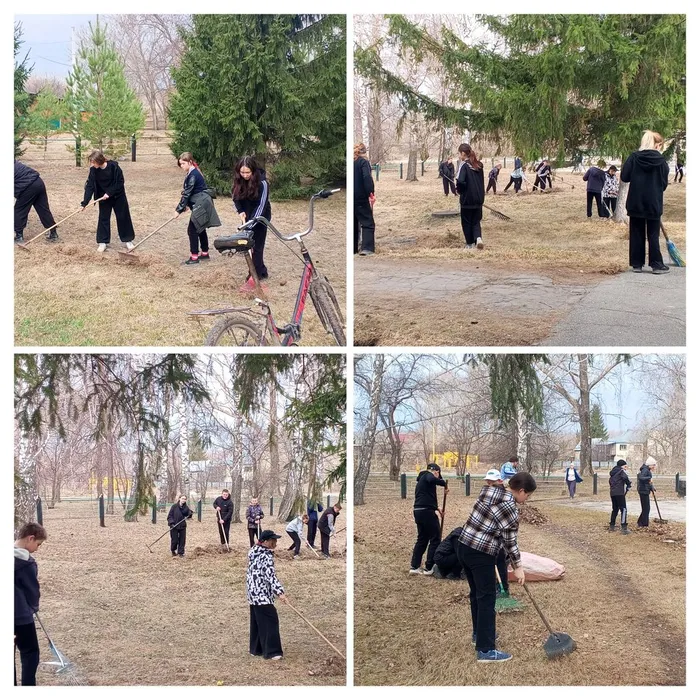 20260423_113704-COLLAGE