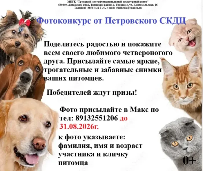 мой лохматый друг(3)