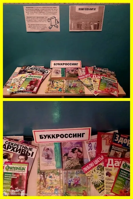 Буккросинг по Хайрюзовски.jpg