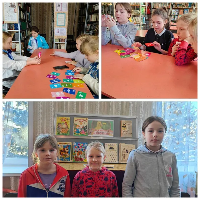 наши любимые  хвостолапые