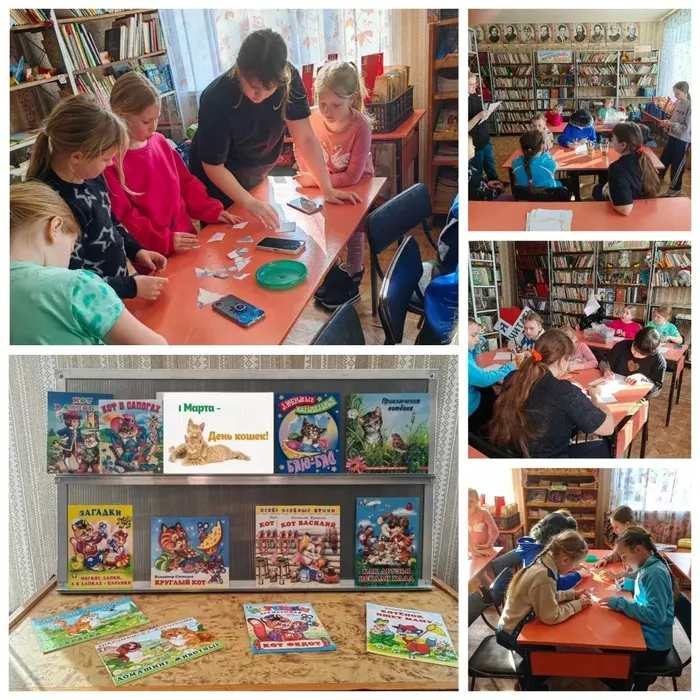 вот такая котовасия