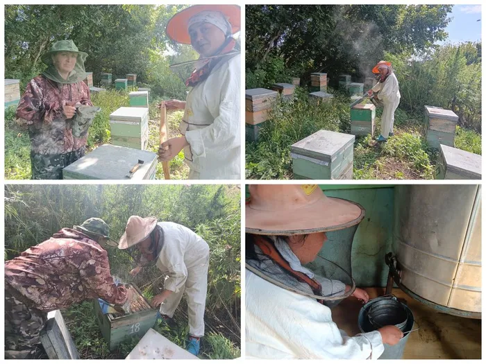 14 августа красн.