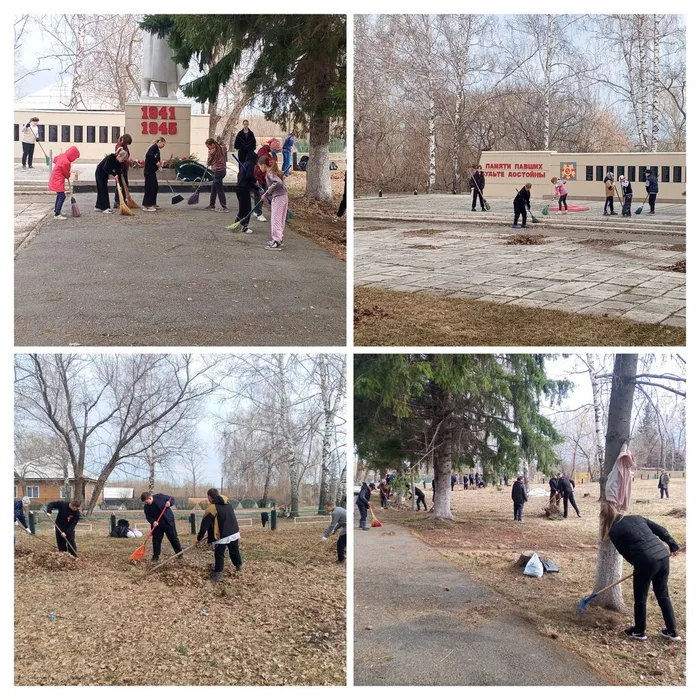 20260423_113632-COLLAGE