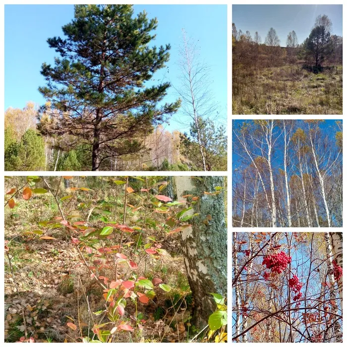 GridArt_20251001_071703524