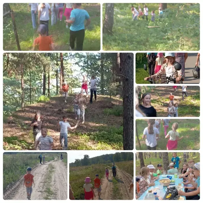 Экскурсия в лес. webp